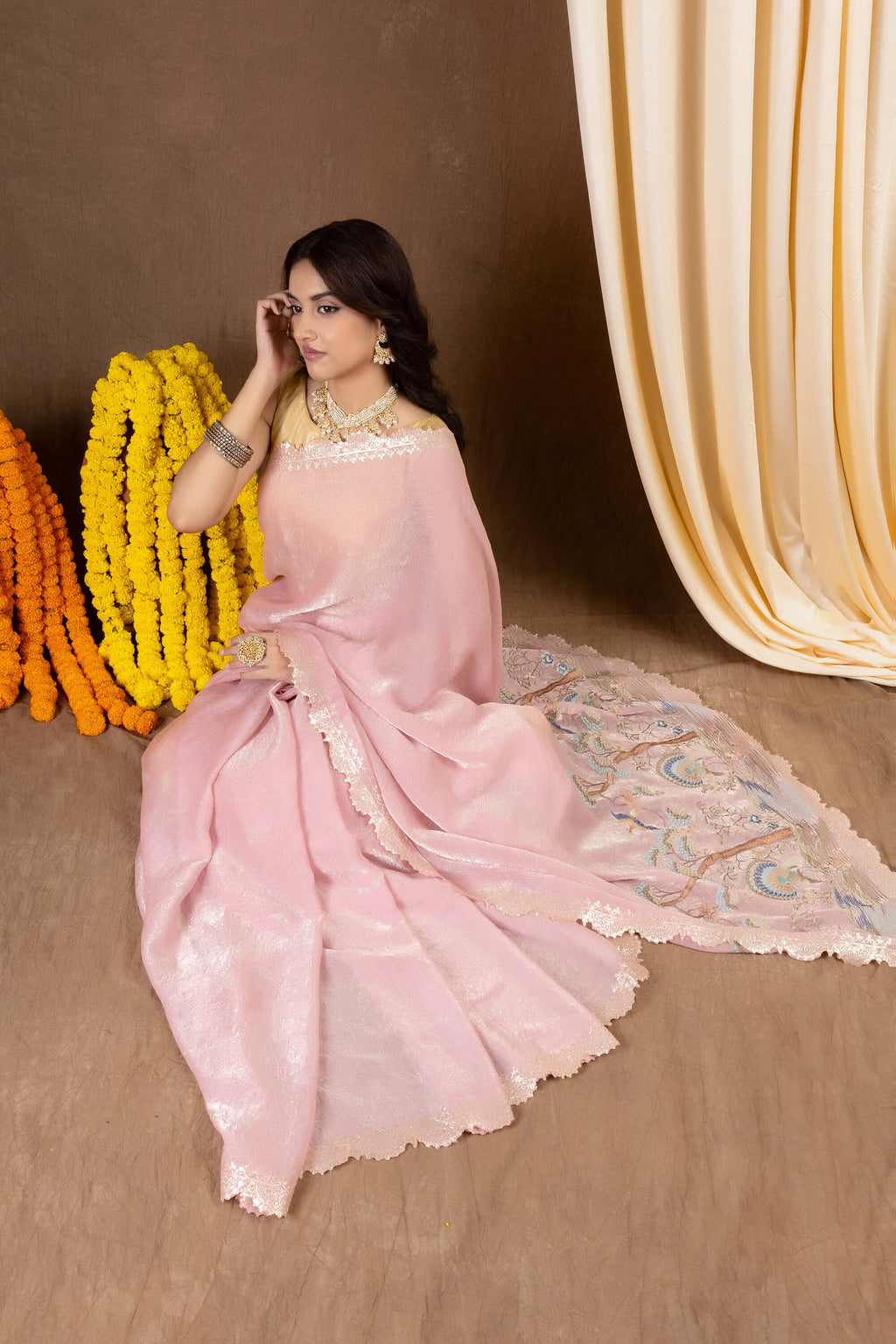 Kanika Glass Tissue — Fancy Glass Tissue Embroidery Saree