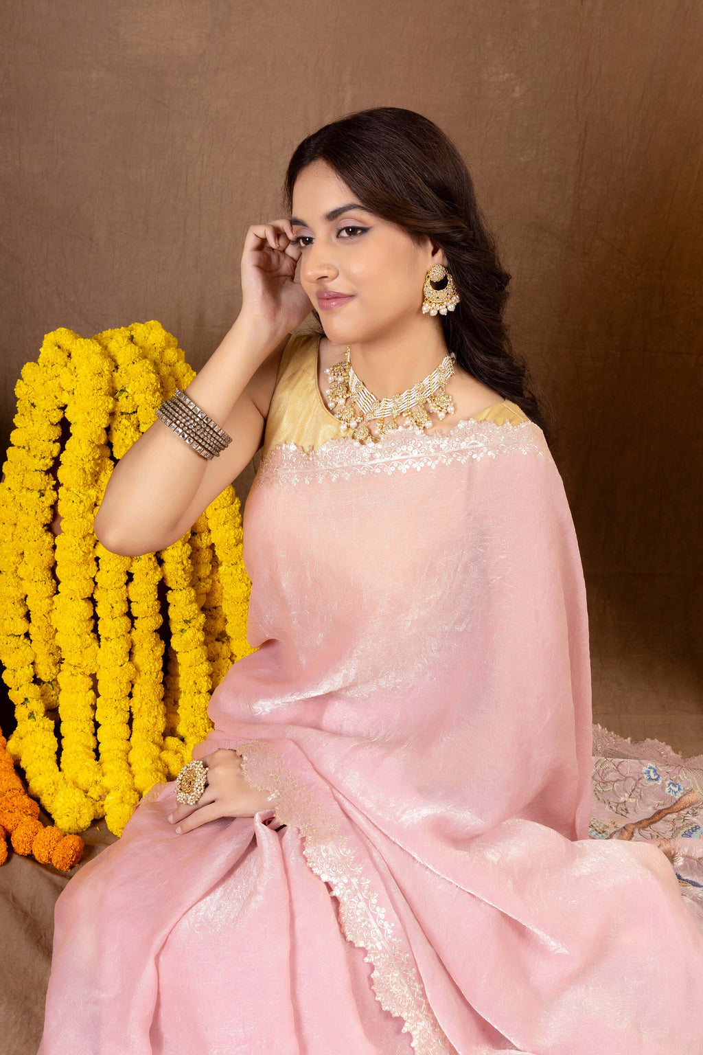 Kanika Glass Tissue — Fancy Glass Tissue Embroidery Saree