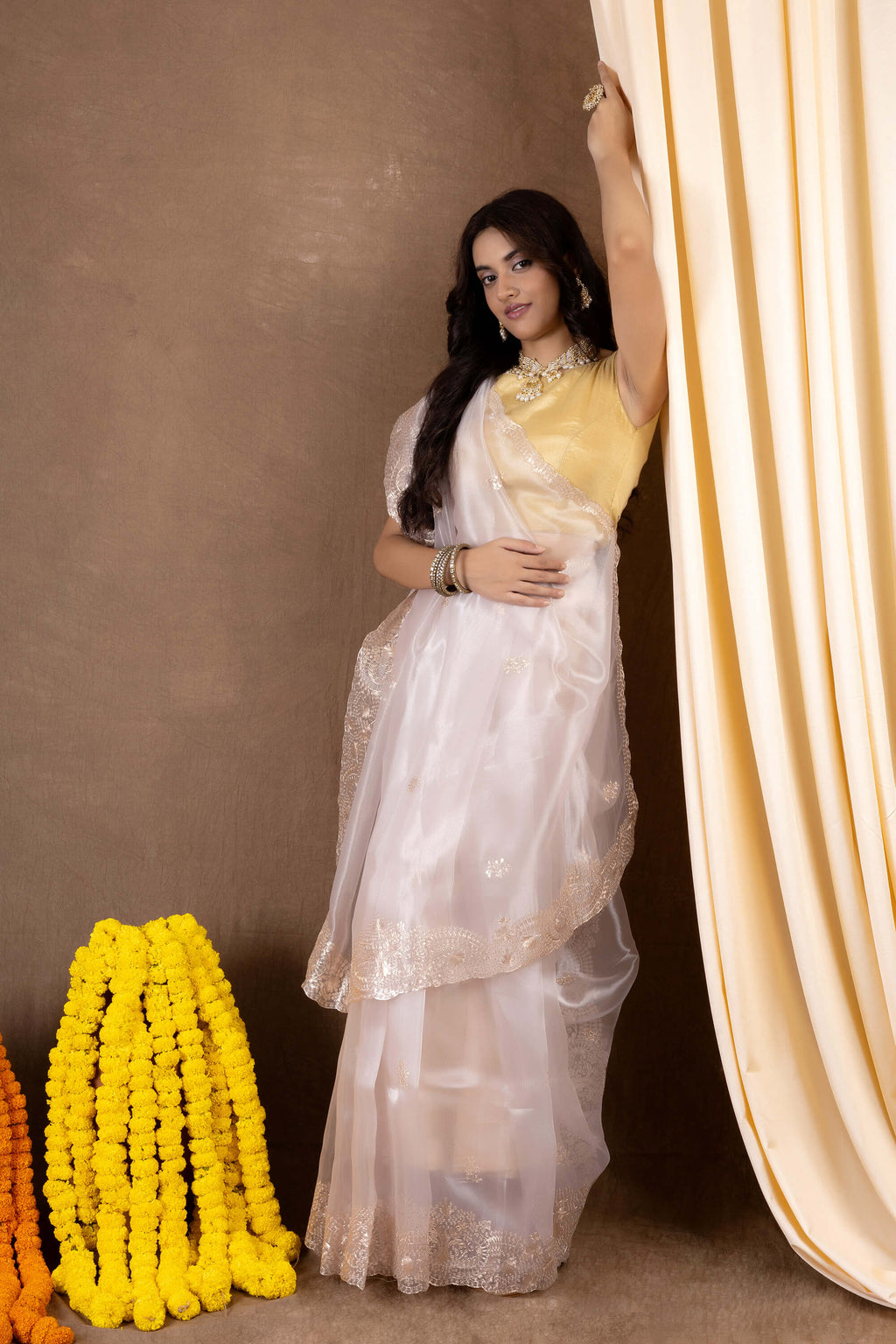 Rooprekha Tissue — Fancy Tissue Saree Embroidered