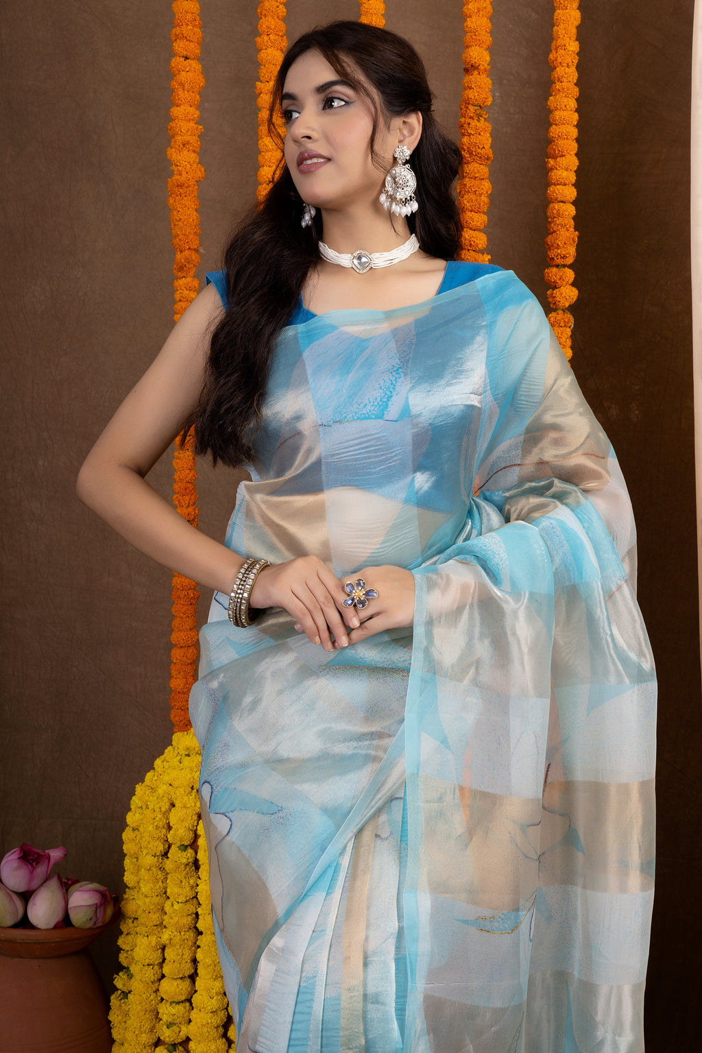 Tissue Vasundhara — Silk Organza Tissue Printed Saree