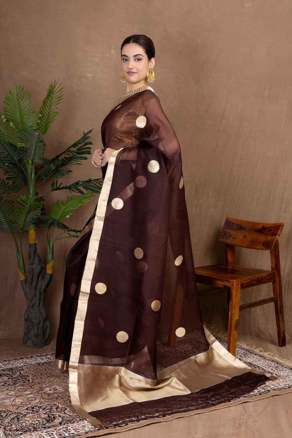 Rajsi Organza — Silk Organza Saree