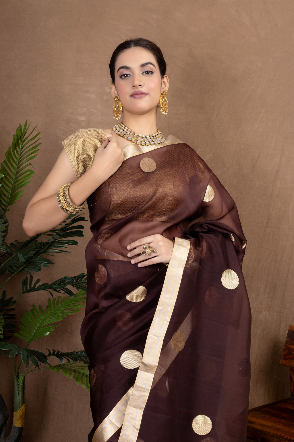 Rajsi Organza — Silk Organza Saree