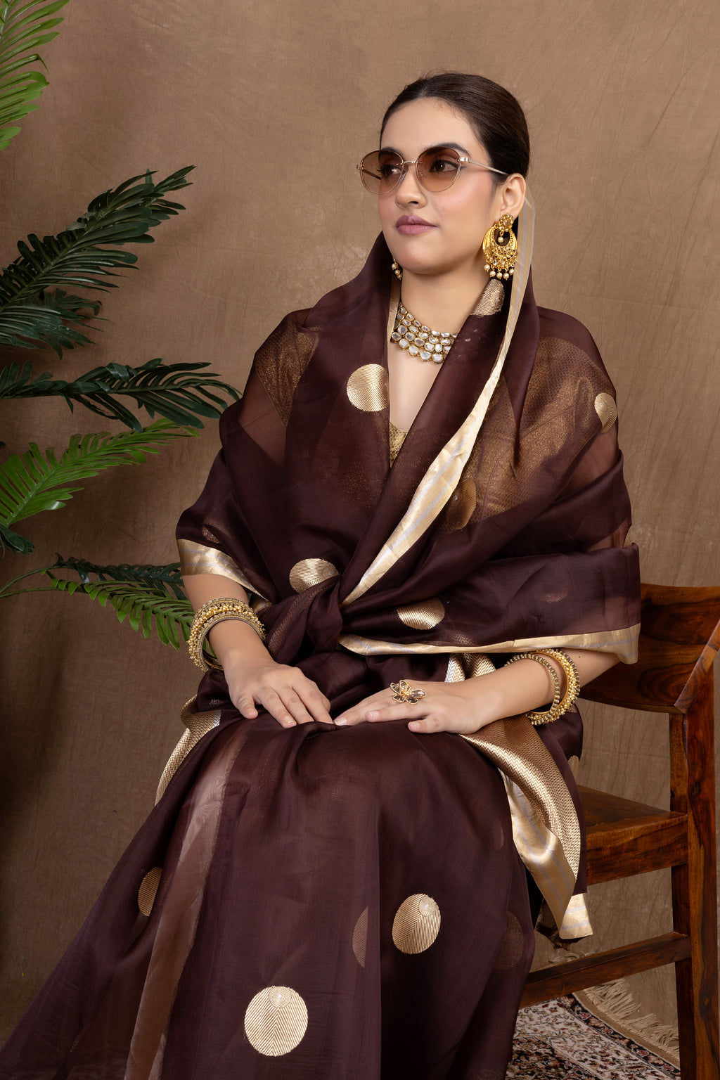 Rajsi Organza — Silk Organza Saree